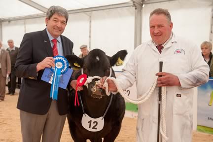 British Blue sired steer, ‘Too Hot To Handle’ exhibited by G Brooke claimed Reserve Champion Steer. ( Wt 562Kgs.)